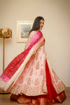 Pure shamoose silk with mukesh work and hand embellishments