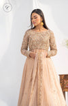 Pure Tissue Lehenga & Net dupatta