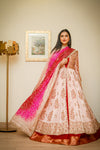 Pure shamoose silk with mukesh work and hand embellishments