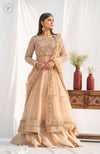 Beige Peshawas: Pure Tissue Lehenga & Net dupatta